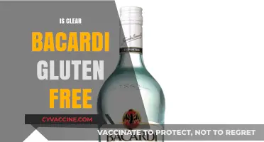 Is Clear Bacardi Gluten-Free? A Complete Guide for Drinkers