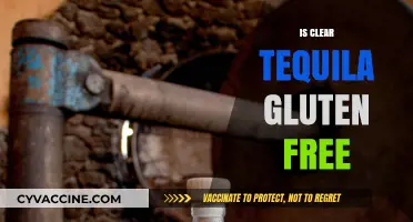 Is Clear Tequila Gluten-Free? Uncovering the Truth for Celiac Sufferers