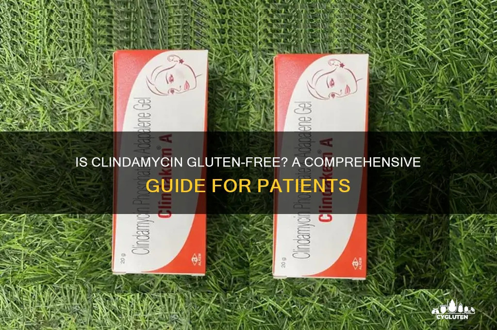 is clindamycin gluten free