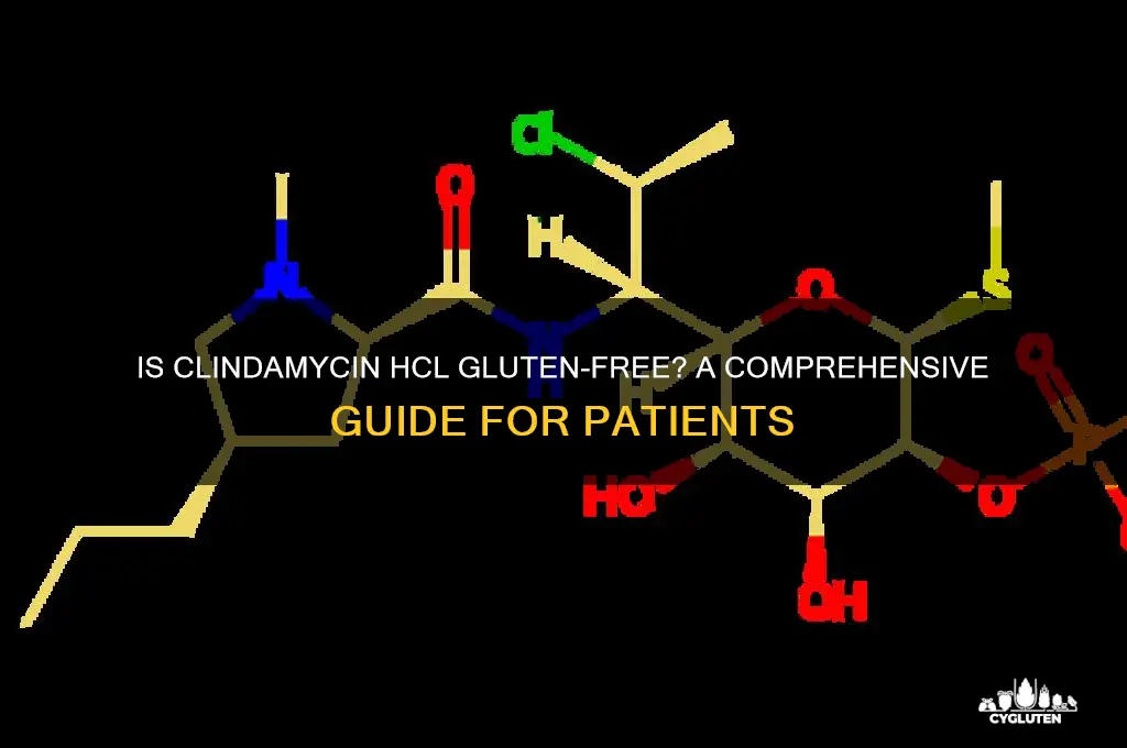 is clindamycin hcl gluten free