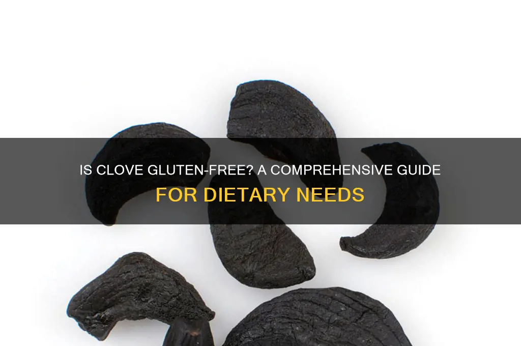 is clove gluten free