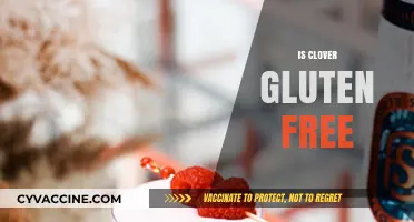 Is Clover Gluten-Free? Exploring the Facts for a Healthy Diet