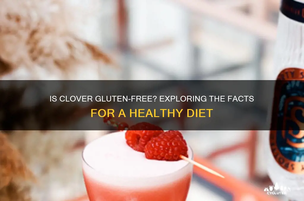 is clover gluten free