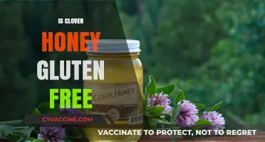 Is Clover Honey Gluten-Free? A Comprehensive Guide for Celiac Diets