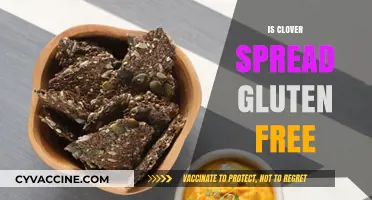 Is Clover Spread Gluten-Free? A Comprehensive Guide for Dietary Needs