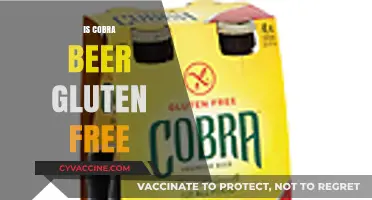 Is Cobra Beer Gluten-Free? A Complete Guide for Beer Lovers