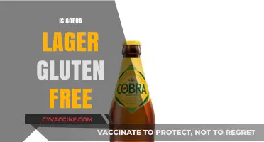Is Cobra Lager Gluten-Free? A Comprehensive Guide for Beer Lovers
