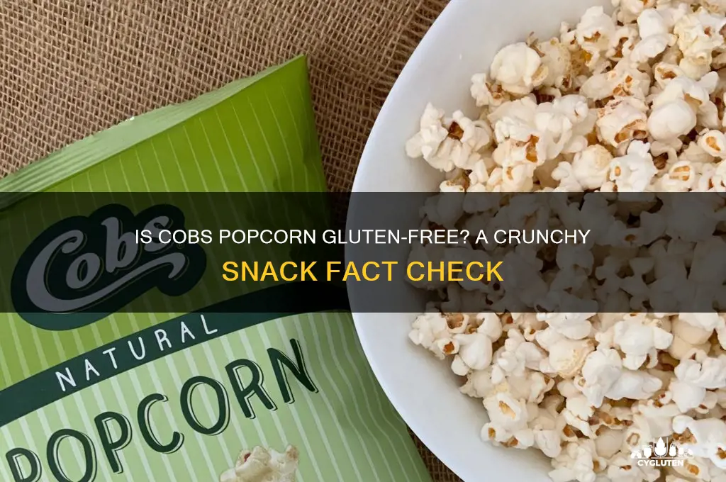 is cobs popcorn gluten free