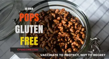 Are Coco Pops Gluten-Free? A Comprehensive Guide for Breakfast Lovers