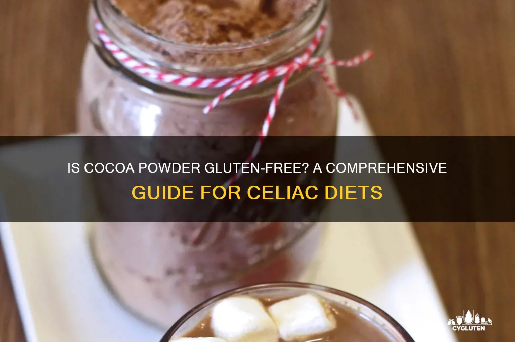 is coco powder gluten free