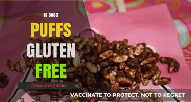 Are Coco Puffs Gluten-Free? A Breakfast Cereal Guide