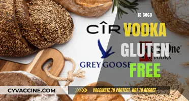Is Coco Vodka Gluten-Free? A Complete Guide for Drinkers