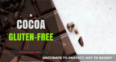 Is Cocoa Gluten-Free? Unraveling the Truth for Celiac Diets