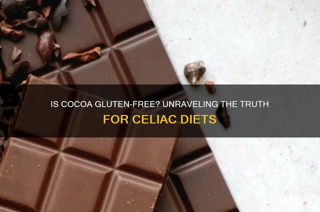 is cocoa gluten-free