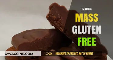 Is Cocoa Mass Gluten-Free? Uncovering the Truth for Celiac Diets