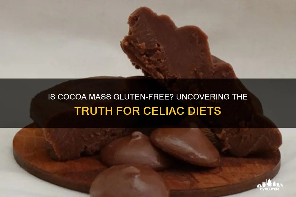 is cocoa mass gluten free