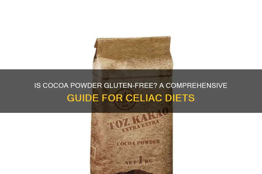 is cocoa powder gluten free