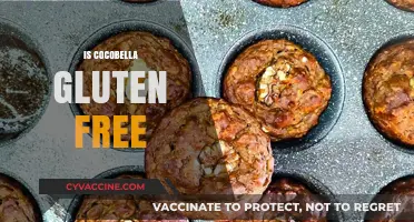 Is Cocobella Gluten-Free? A Complete Guide to Its Ingredients