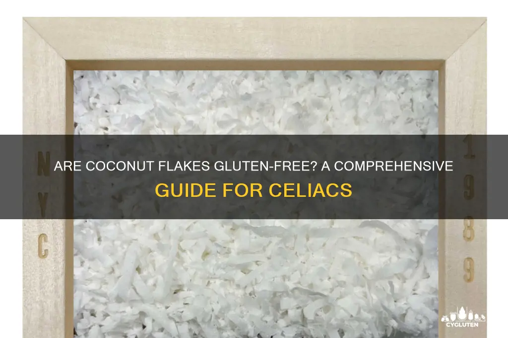 is coconut flakes gluten free