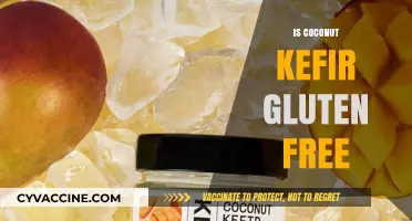 Is Coconut Kefir Gluten-Free? A Complete Guide for Dietary Needs