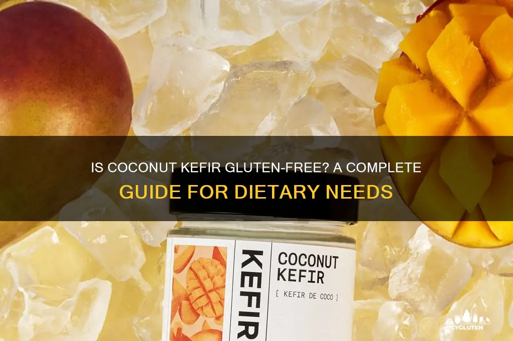 is coconut kefir gluten free