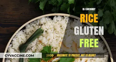 Is Coconut Rice Gluten Free? A Complete Guide for Celiacs