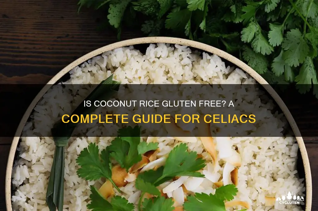is coconut rice gluten free