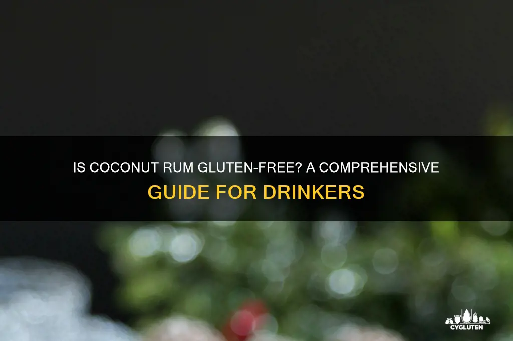 is coconut rum gluten-free
