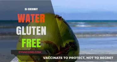 Is Coconut Water Gluten-Free? A Clear Answer for Celiac Sufferers