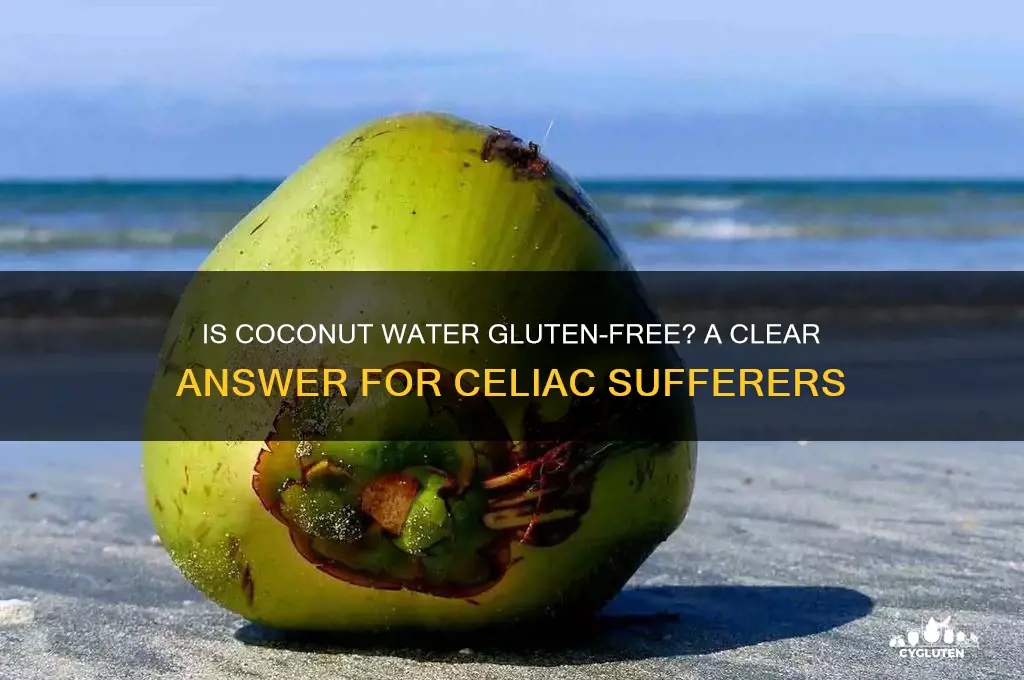 is coconut water gluten free