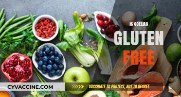 Is Coeliac Gluten Free? Understanding the Dietary Necessity for Coeliacs