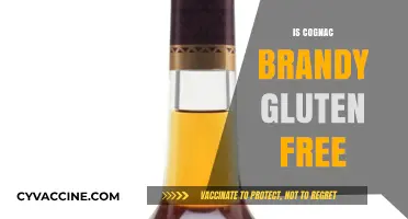 Is Cognac Brandy Gluten-Free? Uncovering the Truth for Celiac Sufferers