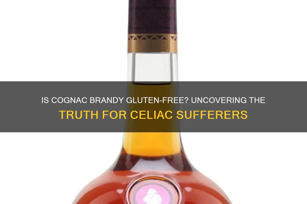 is cognac brandy gluten free