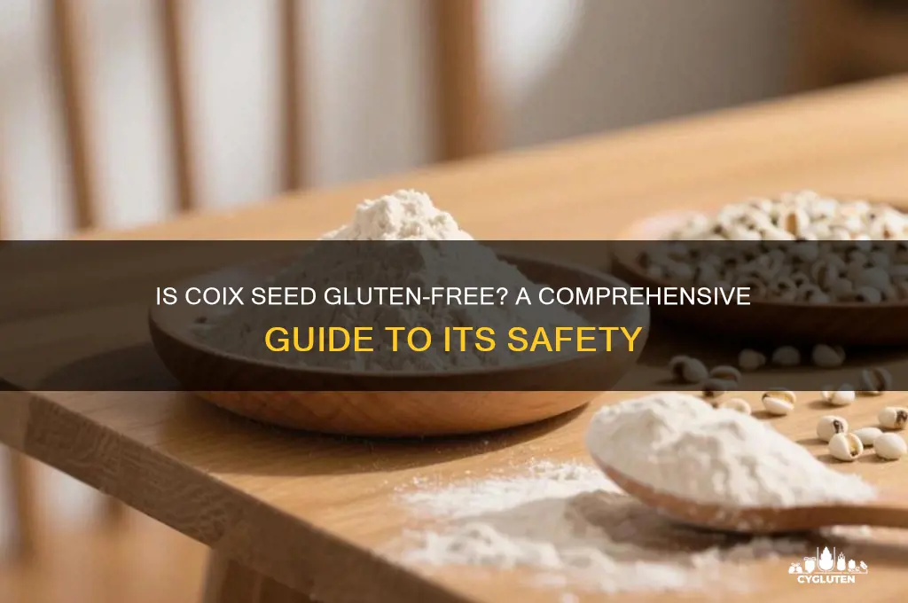 is coix seed gluten free