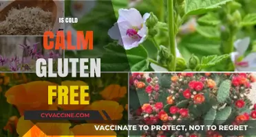 Is Cold Calm Gluten Free? A Comprehensive Guide to Ingredients