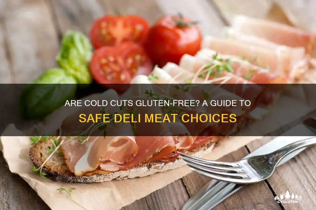 is cold cuts gluten free