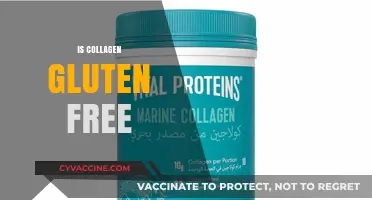 Is Collagen Gluten-Free? Understanding Ingredients and Dietary Safety
