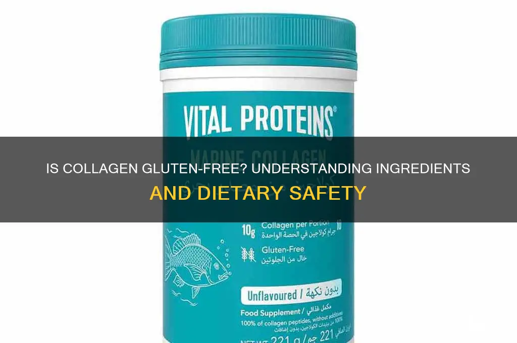 is collagen gluten free