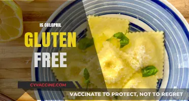 Is Colopril Gluten-Free? A Comprehensive Guide to Its Ingredients