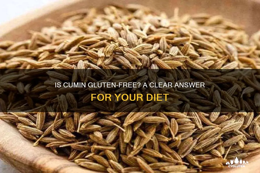 is comino gluten free