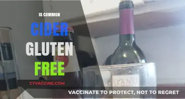 Sipping Safely: The Truth About Gluten in Common Ciders