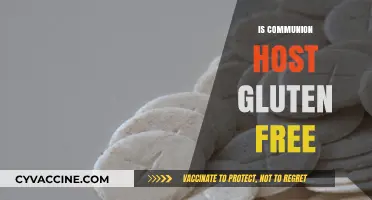 Exploring Gluten-Free Options for Communion Hosts