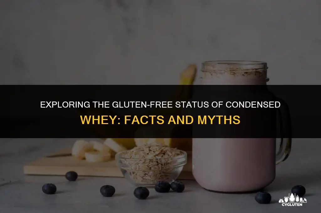 is condensed whey gluten free