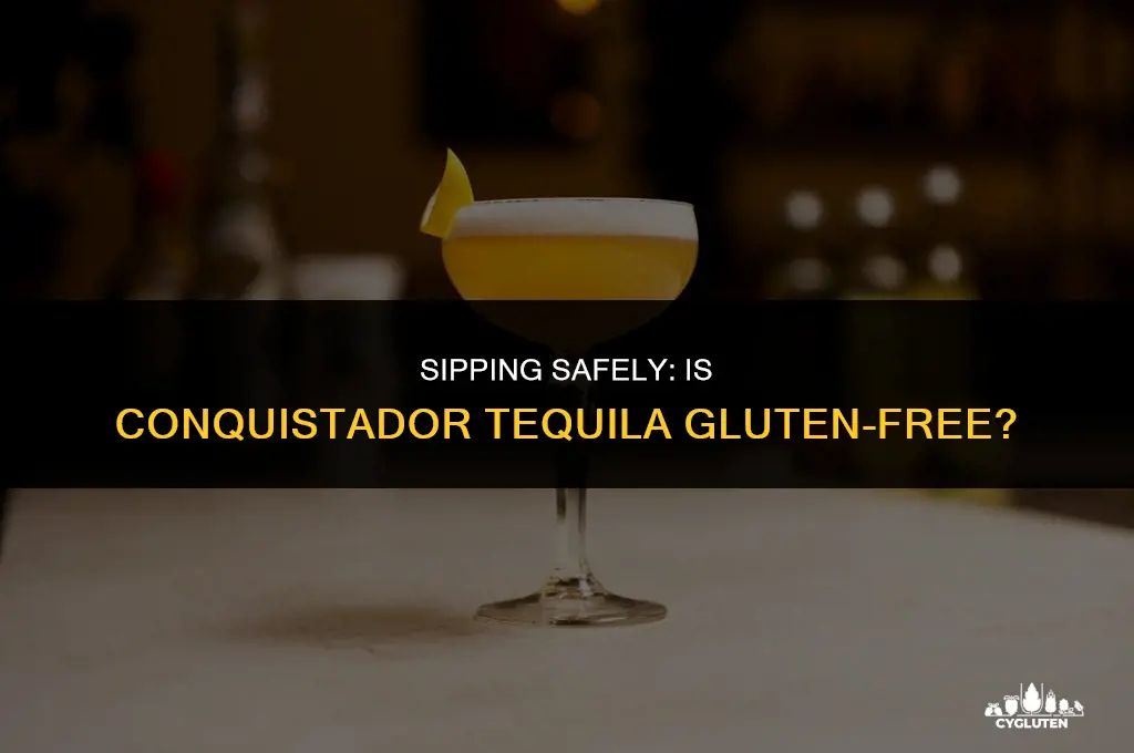 is conquistador tequila gluten free