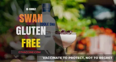 Exploring Gluten-Free Options: The Truth About Coole Swan