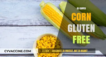 Exploring the Gluten-Free Status of Copes Corn Products