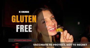 Is Coqodaq Gluten-Free? A Comprehensive Guide to Safe Consumption