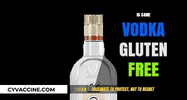 Exploring Core Vodka: A Gluten-Free Spirit for Sensitive Drinkers