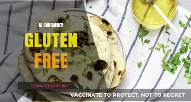 Is Coriander Gluten-Free? A Comprehensive Guide to Safe Eating