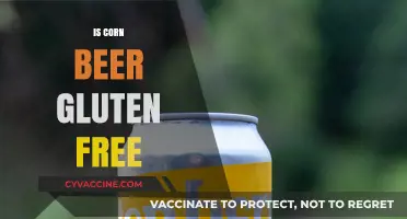 Exploring Gluten-Free Options: Is Corn Beer a Safe Choice?